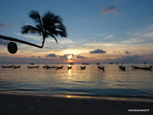  Koh Tao - Golfe de Thaïlande